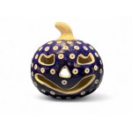 Bunzlau pompoen 47 70AX Pompoenen